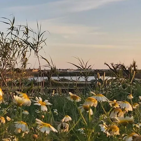 Girassol - Bright, Modern, Well Located Olhão