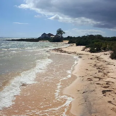 Appartement Girassol - Bright, Modern, Well Located